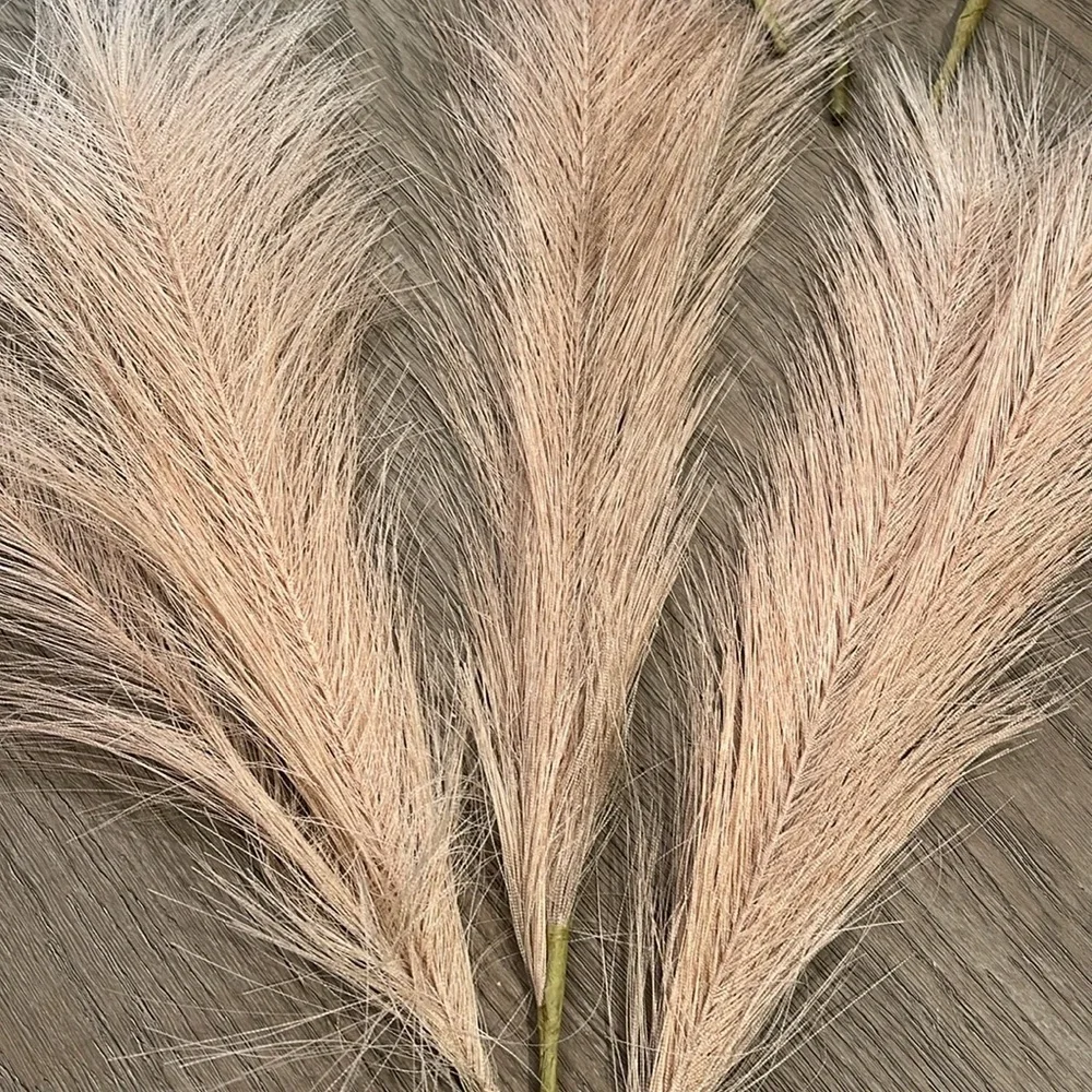 12 - 17
